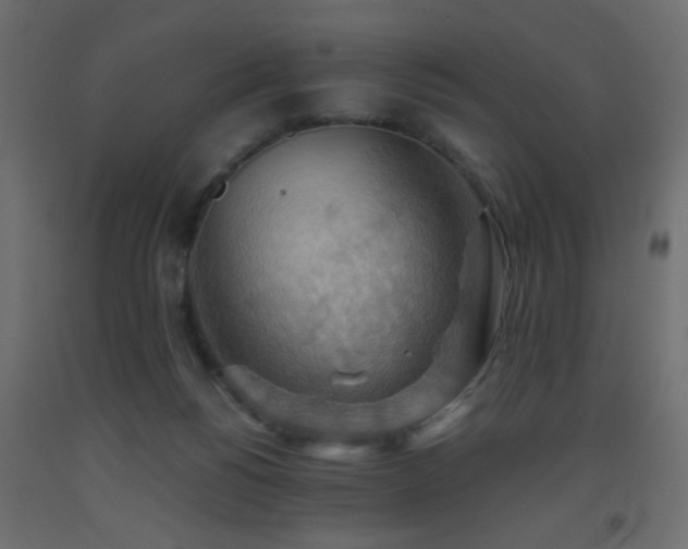 X0000093560168200710151114