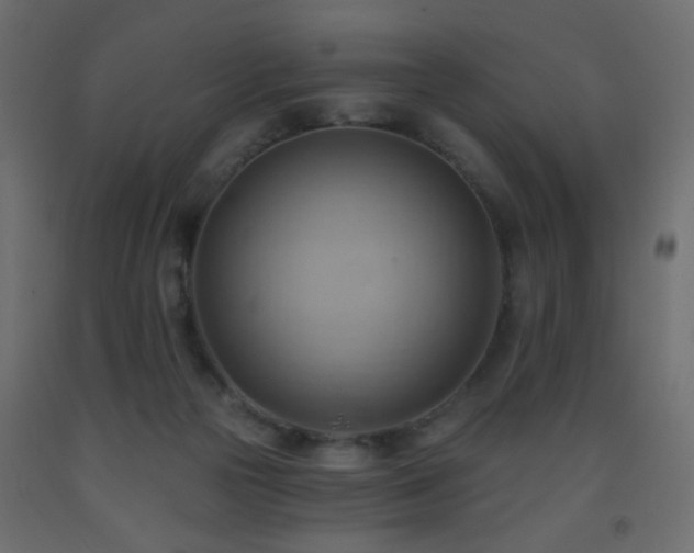 X0000093560169200710151114
