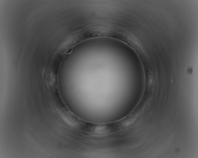 X0000093560173200710151114