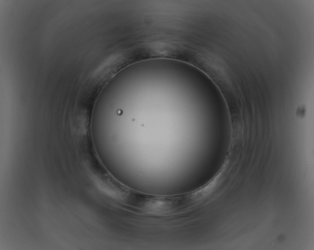 X0000093560174200710151114