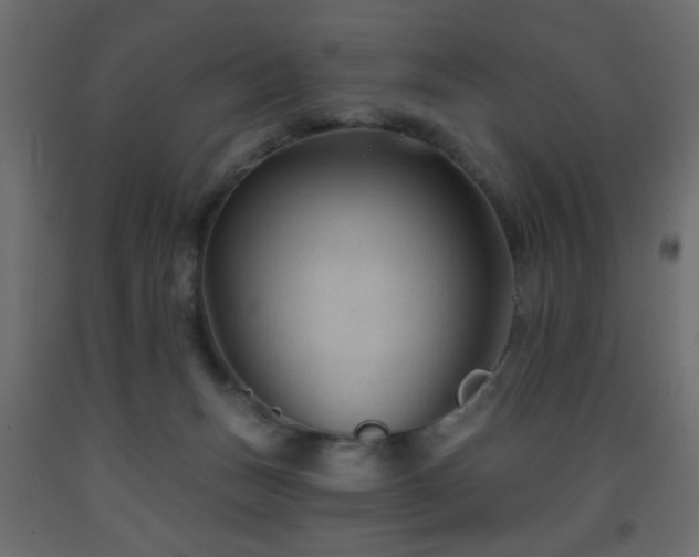 X0000093560175200710151114
