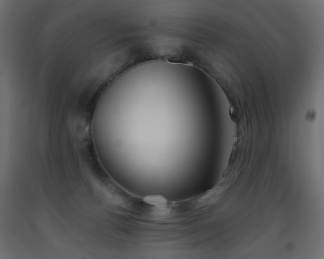 X0000093560176200710151114