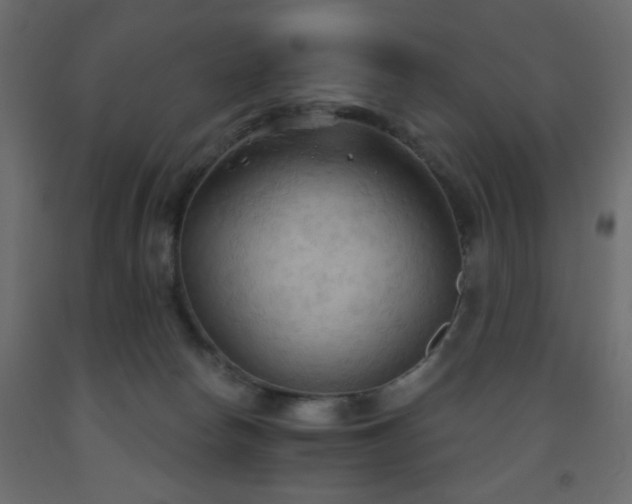 X0000093560178200710151114