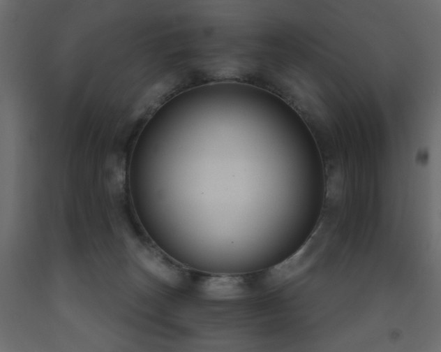 X0000093560179200710151114