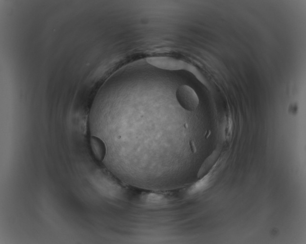 X0000093560180200710151114