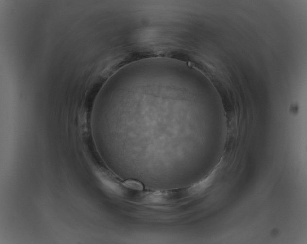 X0000093560182200710151114
