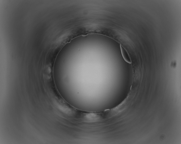 X0000093560183200710151114