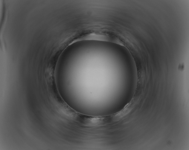 X0000093560184200710151114