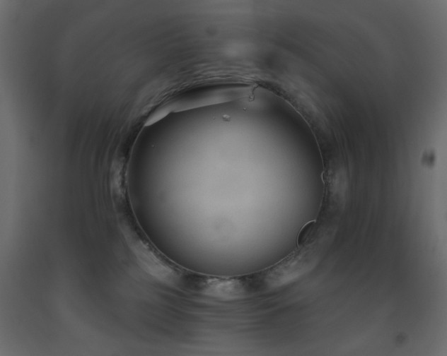X0000093560185200710151114