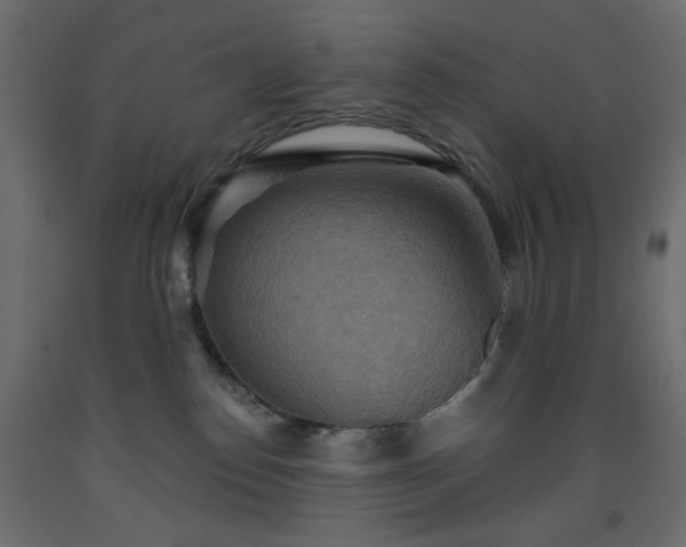 X0000093560186200710151114