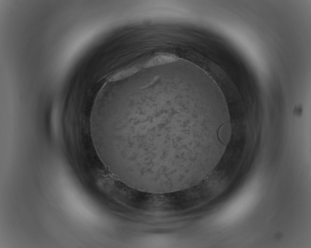X0000093560189200710151115