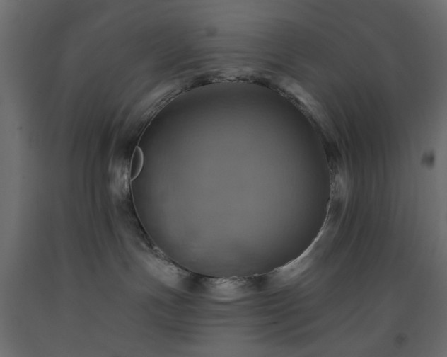 X0000093560191200710151115