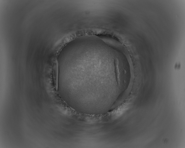 X0000093560192200710151115