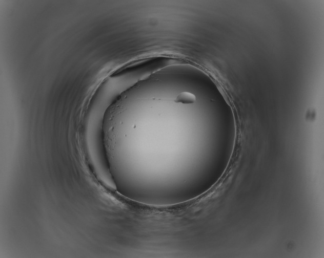 X0000093560193200710151114