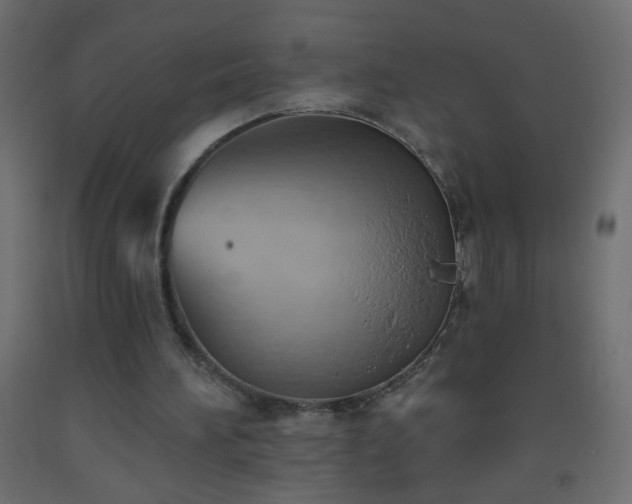 X0000093560196200710151114