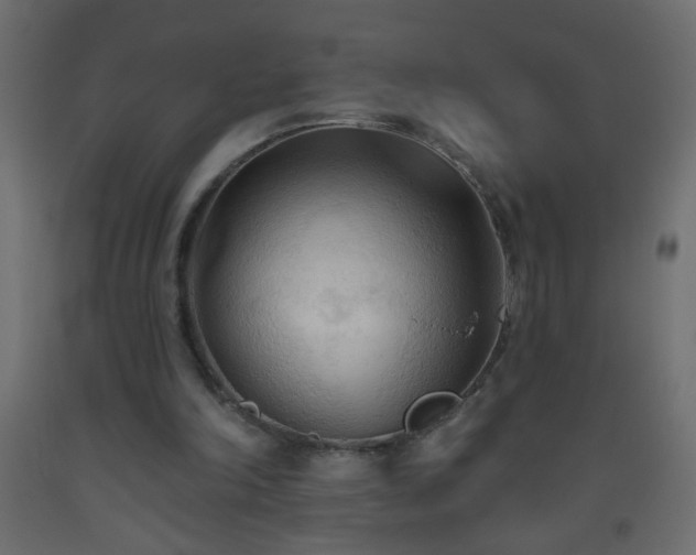 X0000093560198200710151114