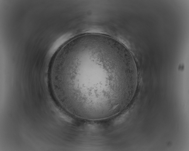 X0000093560199200710151114