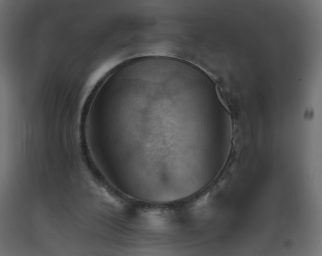 X0000093560200200710151114