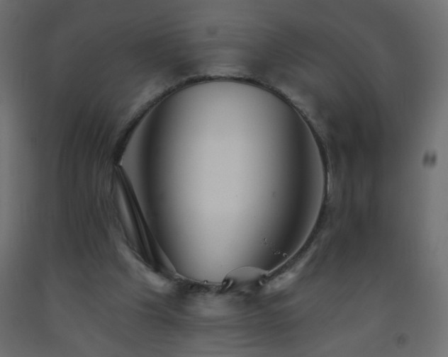 X0000093560201200710151114