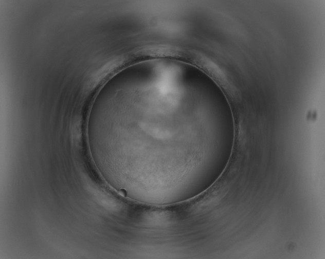 X0000093560202200710151114
