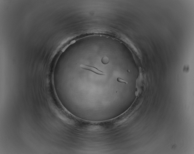 X0000093560203200710151114
