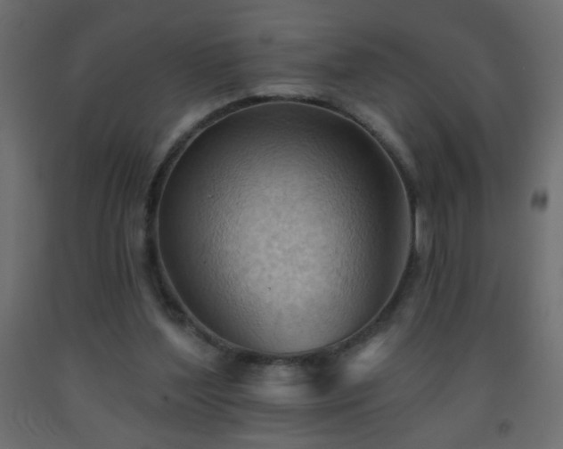 X0000093560204200710151114