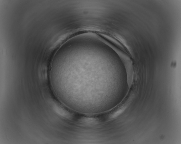 X0000093560205200710151114
