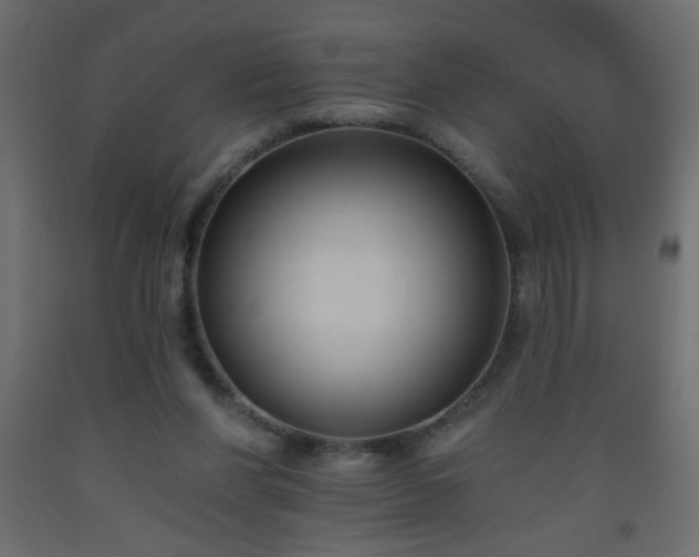 X0000093560206200710151114