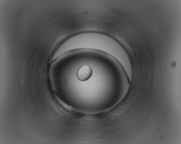 X0000093560207200710151114