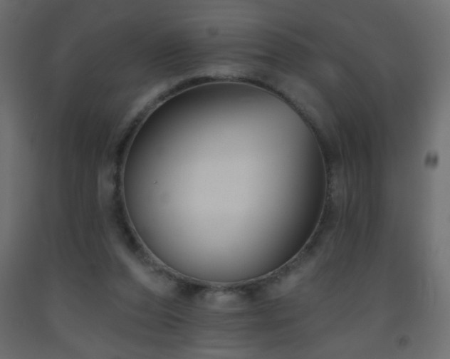 X0000093560208200710151114
