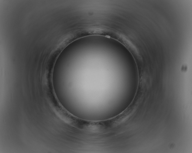 X0000093560209200710151114