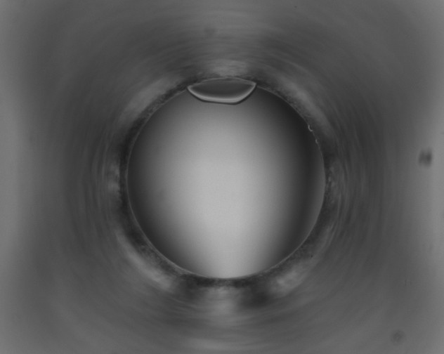 X0000093560212200710151114
