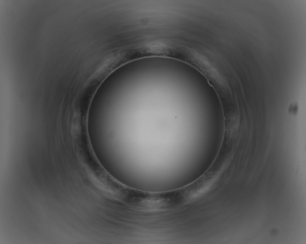 X0000093560213200710151114