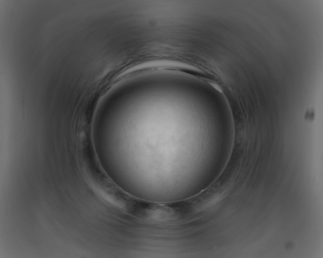 X0000093560215200710151114