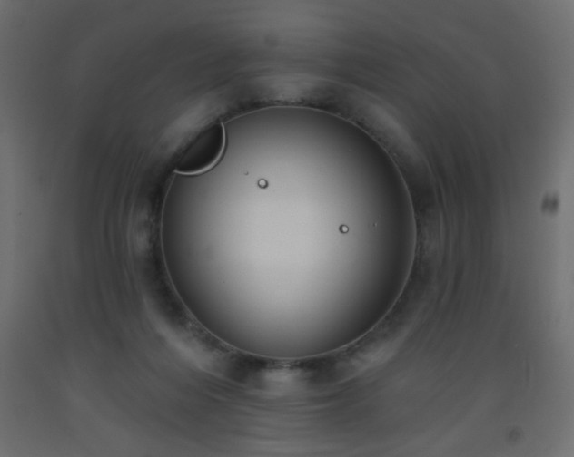 X0000093560216200710151114