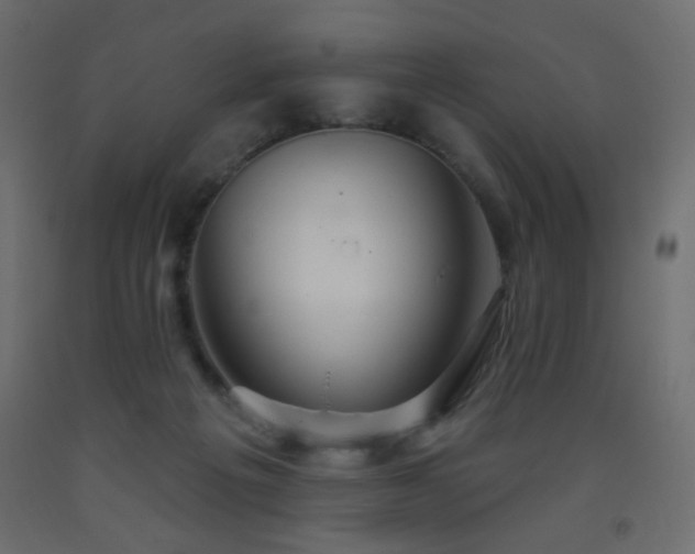 X0000093560217200710151114