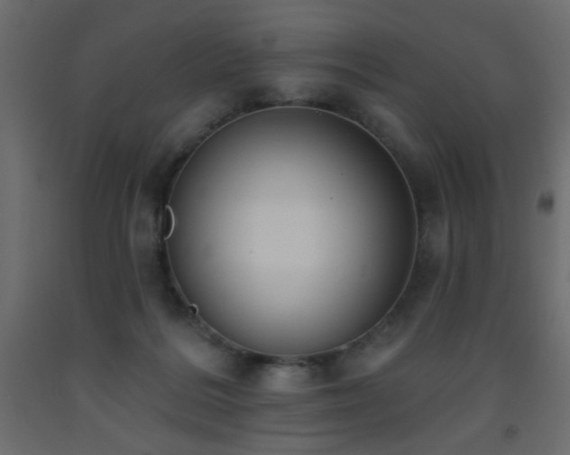 X0000093560220200710151114