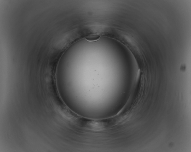 X0000093560221200710151114
