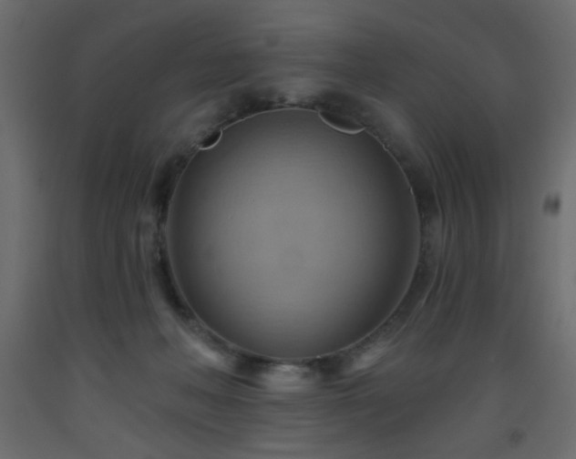 X0000093560222200710151114