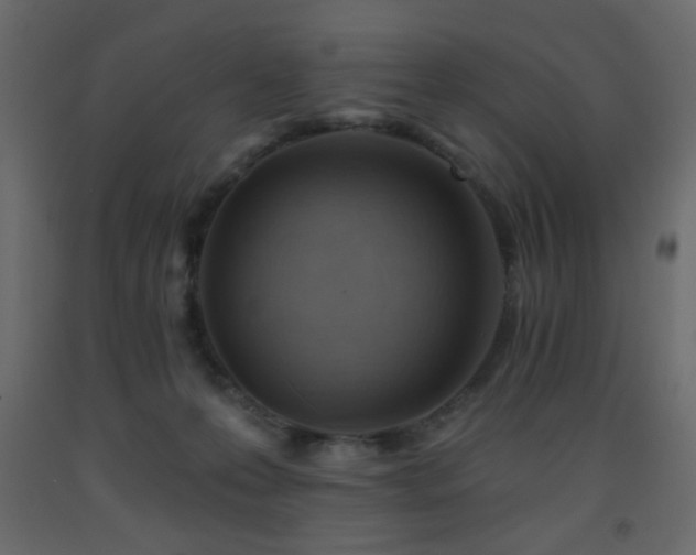 X0000093560223200710151114