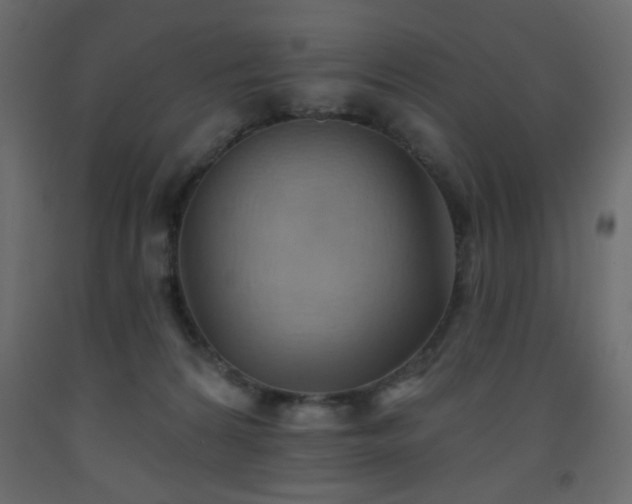 X0000093560224200710151114