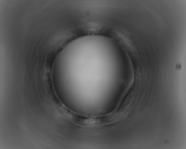 X0000093560225200710151114