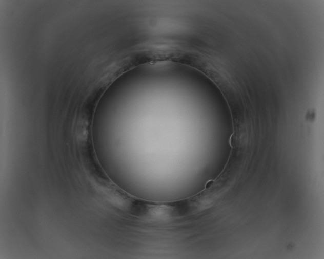 X0000093560226200710151114
