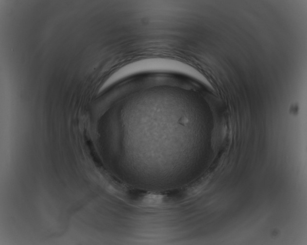 X0000093560227200710151114