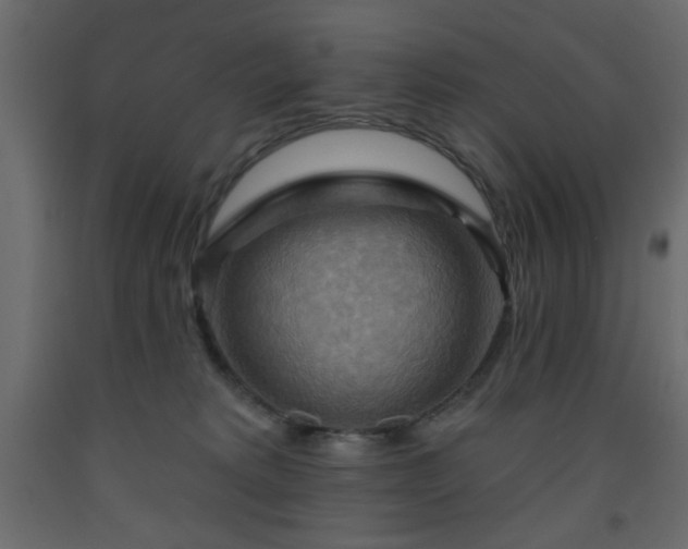 X0000093560229200710151114