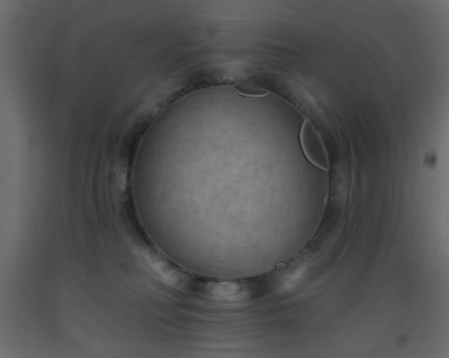 X0000093560230200710151114