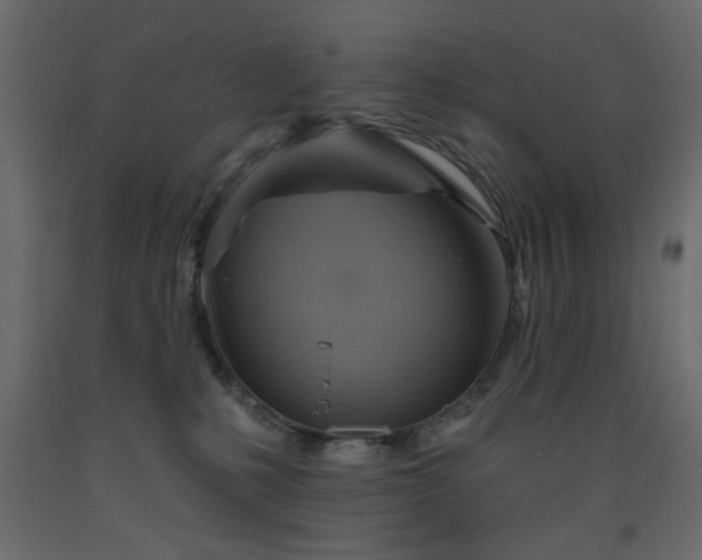 X0000093560231200710151113