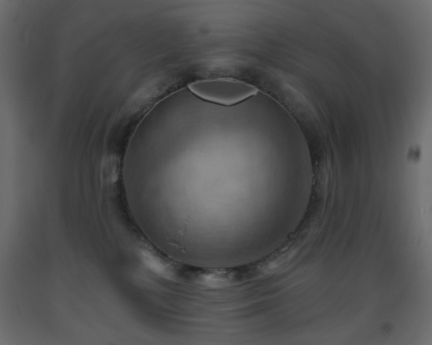 X0000093560232200710151113
