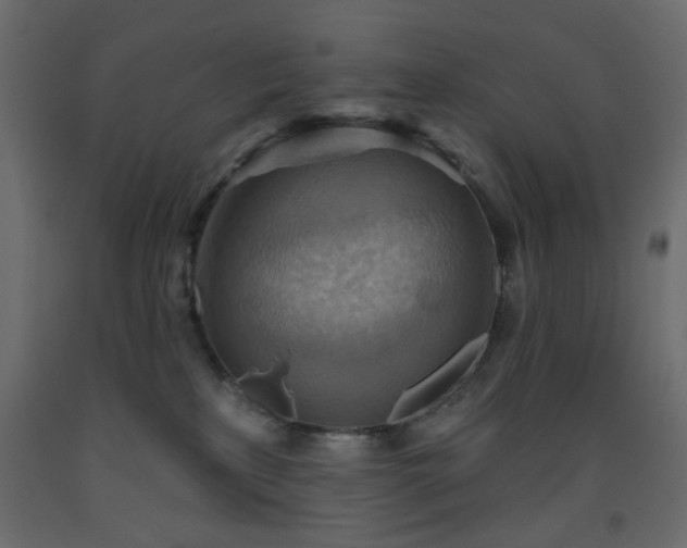 X0000093560233200710151113