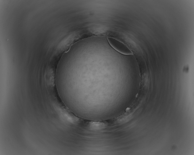 X0000093560234200710151113